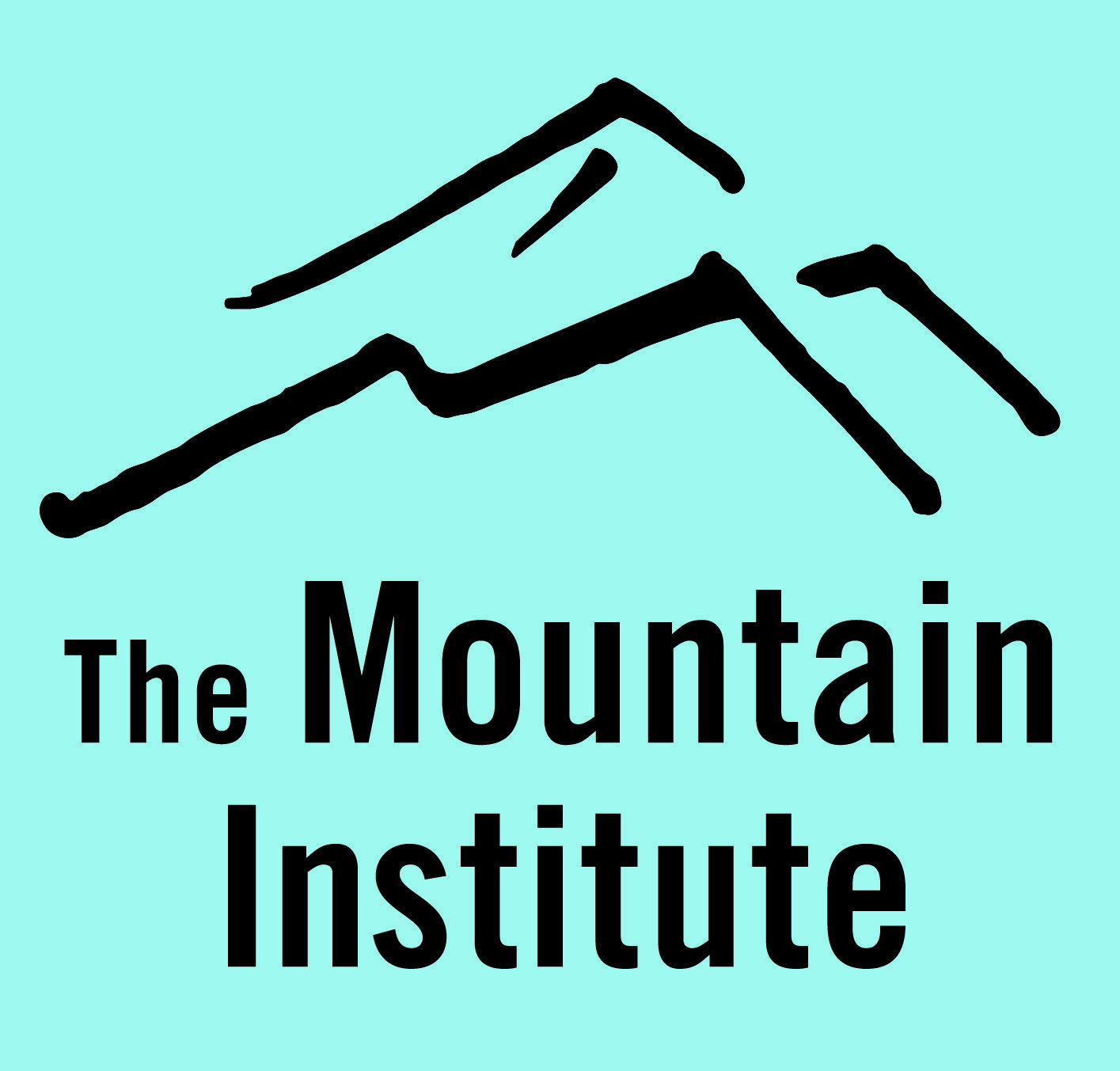 TMI Logo - TMI Logo Pantone2975 Mountain Institute