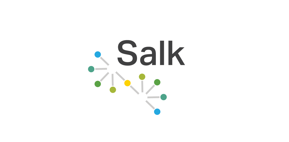 Salk Logo - Salk Institute Branding Concept