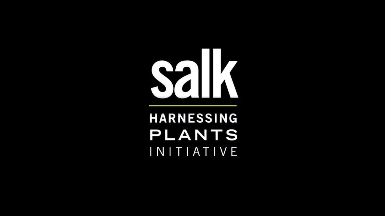 Salk Logo - Salk Institute Harnessing Plants Initiative - YouTube