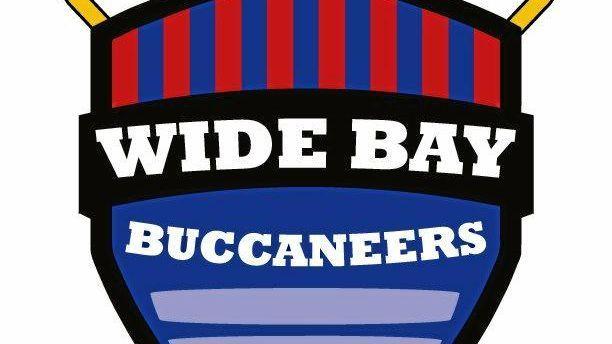 Teamto Logo - BAY ALL ABOARD: New state team to be called the Buccaneers | News Mail