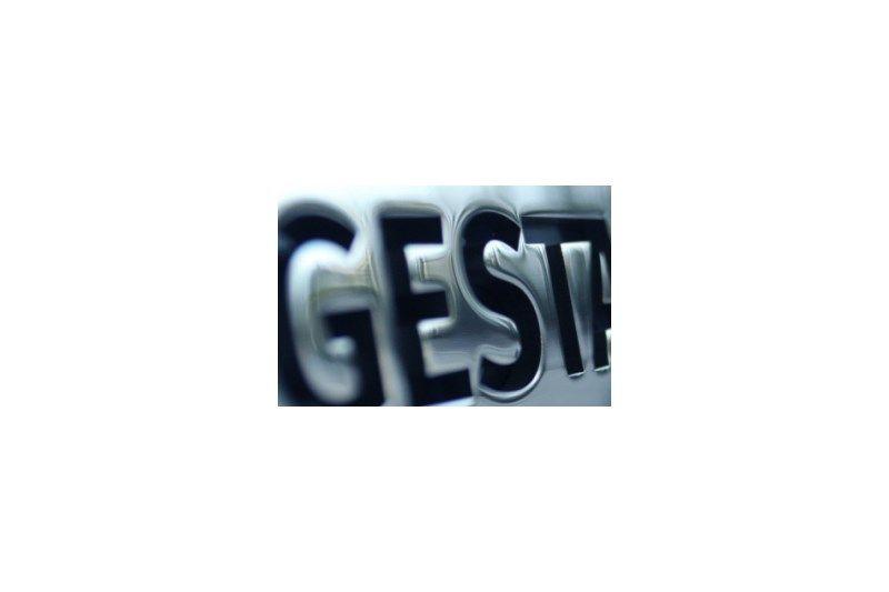 Gestamp Logo - Manufacturing Management