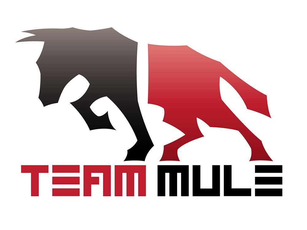 Mule Logo - Marek Mutch | Team Mule Logo