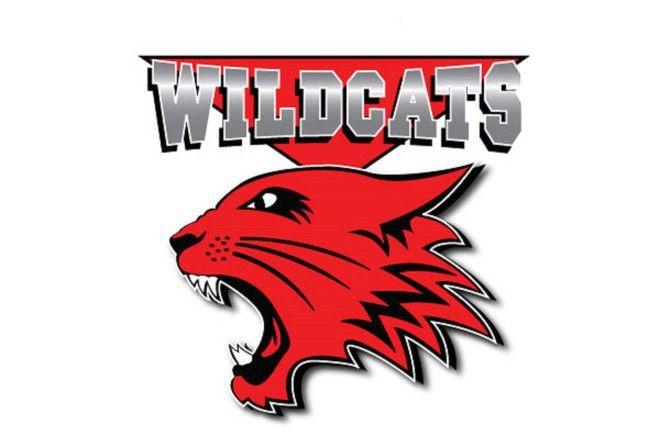 HSM Logo - High School Musical Wildcats Logo MediaCynopsis Media