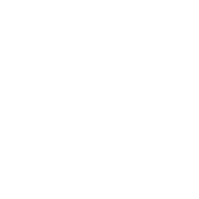 Strip Logo - THE BEST BRAZILIAN WAX IN THAILAND