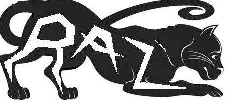 Raz Logo - RAZ Clothing LLC