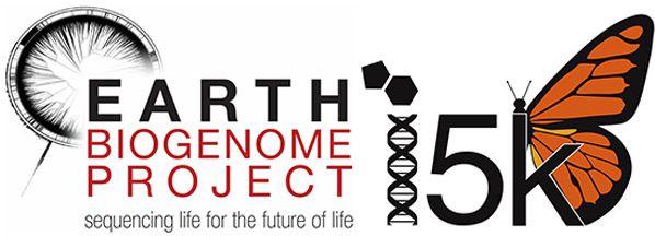 USDA-ARS Logo - Earth BioGenome Project Could Hold Solutions for Agriculture's ...