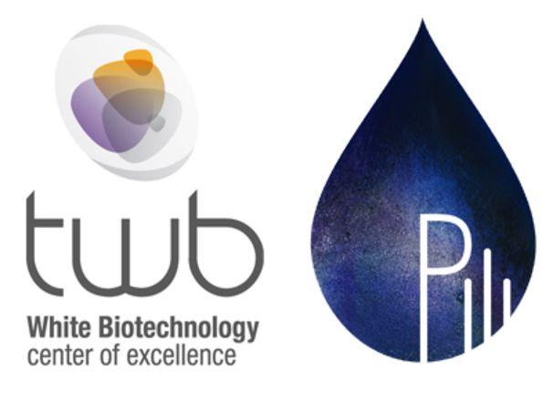 Twb Logo - INRA Release and PILI