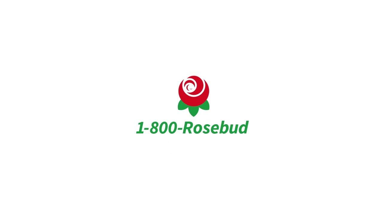 Rosebud Logo - Thirty Logos 6 Rosebud FINAL - YouTube