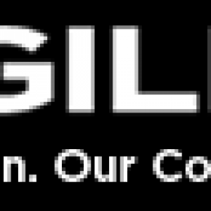 Engility Logo - IndexIQ Advisors LLC Boosts Position in Engility Holdings Inc (EGL ...