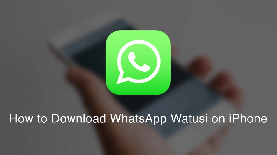 Watusi Logo - Download WhatsApp Watusi iPA for iOS 10 iPhone, Here's How