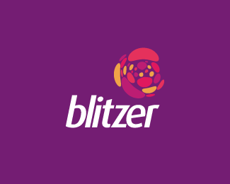Blitzer Logo - Logopond - Logo, Brand & Identity Inspiration (Blitzer (Concept v3))