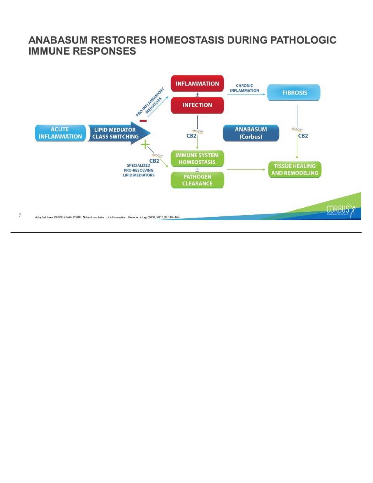 Corbus Logo - Corbus Pharmaceuticals Holdings (CRBP) Investor Presentation ...