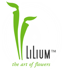 Lilium Logo - Lilium Florals