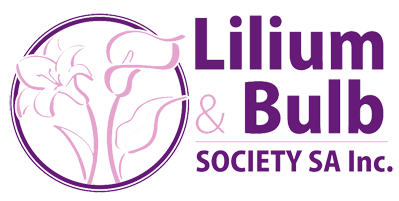 Lilium Logo - Lilium and Bulb Society of South Australia Inc