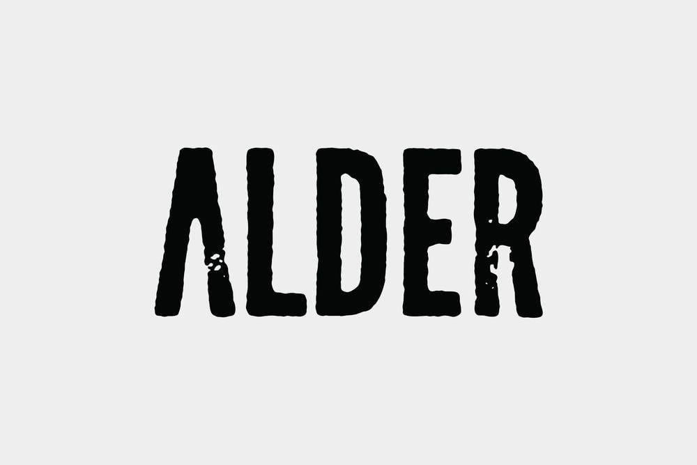 Alder Logo - Alder Design — JaegerSloan Studio