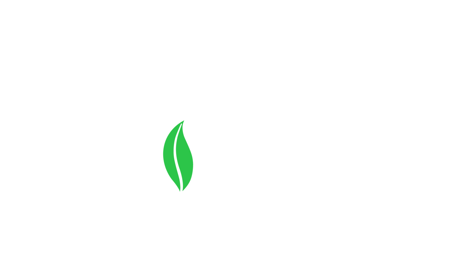 Solo Logo - Solo Energy