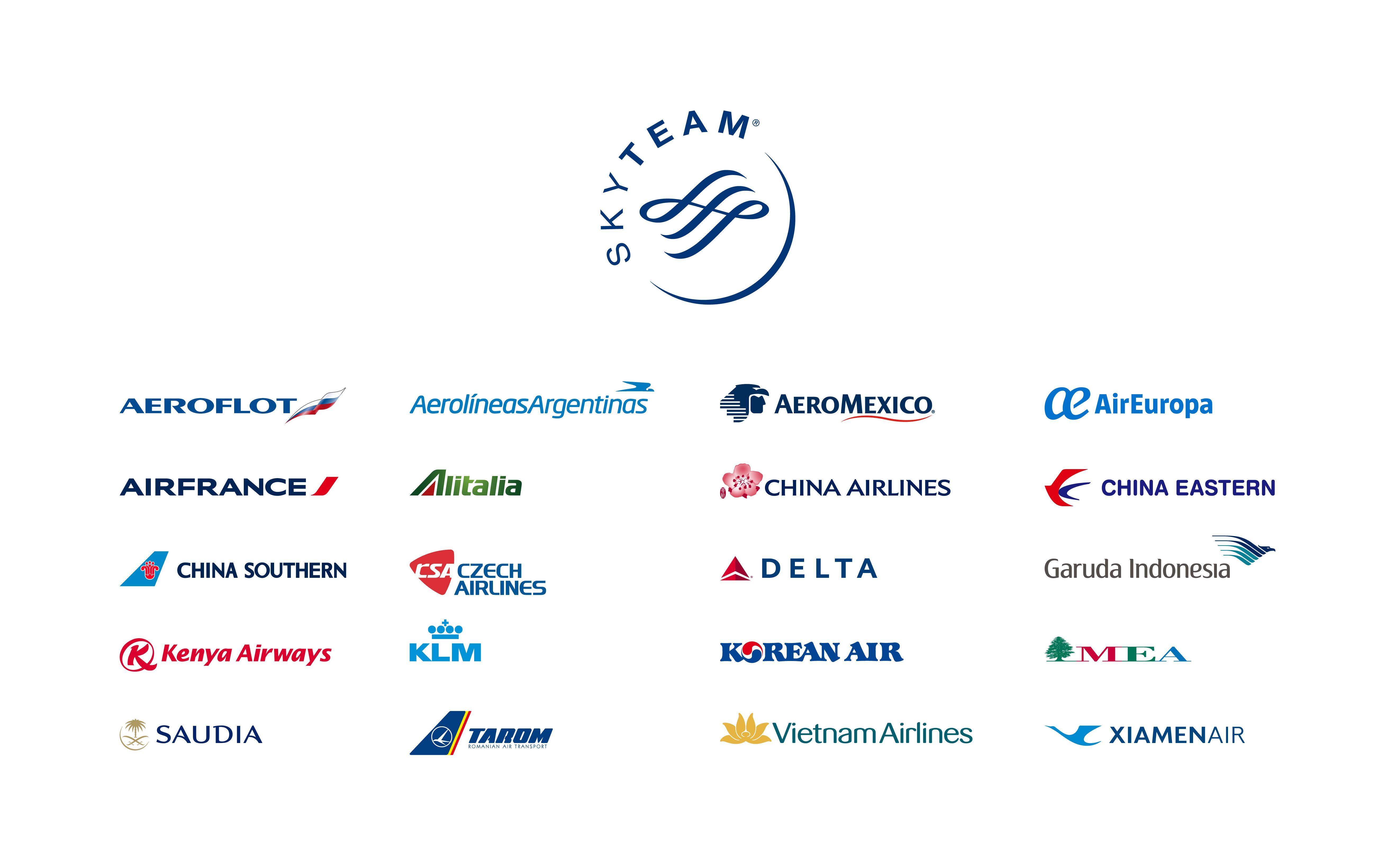 SkyTeam Logo LogoDix