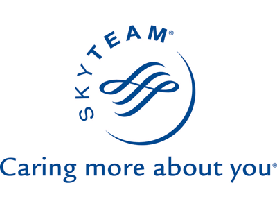 SkyTeam Logo - SkyTeam - Logo Downloads
