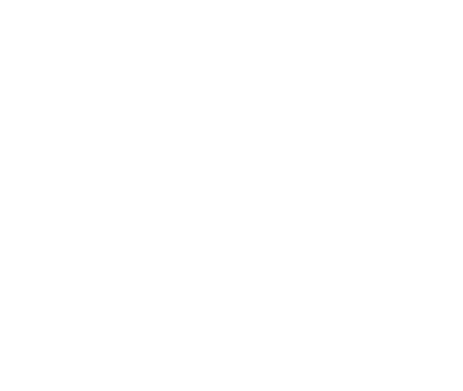 Bie Logo - NARI-BIE