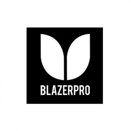 Pro Logo - Blazer Pro Logo Sticker - Black | Skates.co.uk