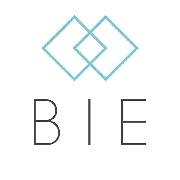 Bie Logo - Recruitment Jobs at BIE Executive