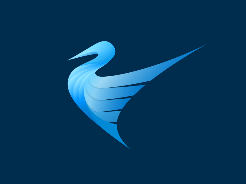 Stork Logo - Stork Logo by Ceyhun Birinci | Dribbble | Dribbble