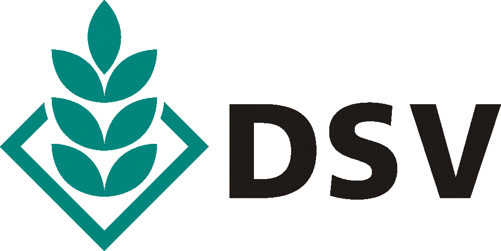 DSV Logo - Dsv Logo Rgb.png