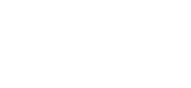 Stewart's Logo - Dave Stewart Entertainment