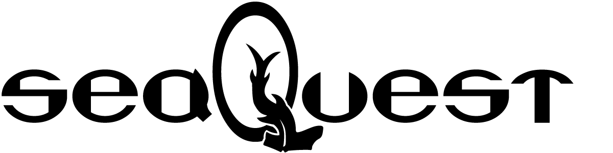 DSV Logo - Seaquest DSV font download - Famous Fonts