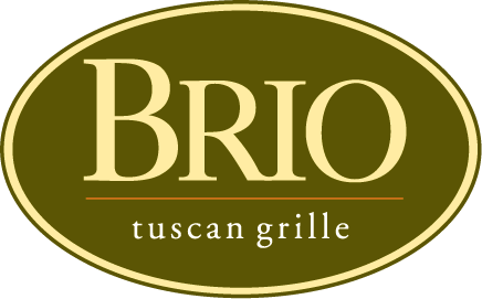 Brio Logo - Brio logo