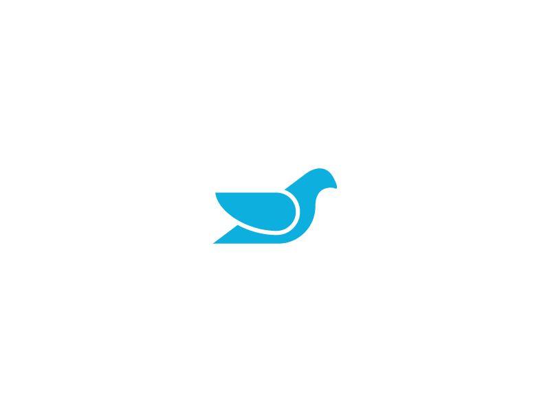 Pigeon Logo - Pigeon logo by Boris Milosevic | Dribbble | Dribbble
