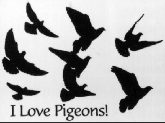 Pigeon Logo - Logo of The American Pigeon Museum & Library, Oklahoma