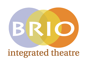 Brio Logo - Brio Logo 300