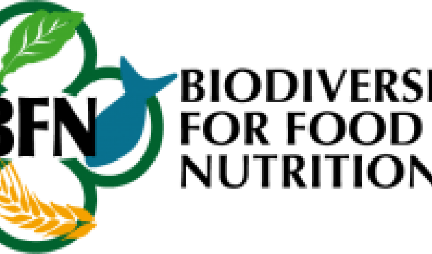 Bfn Logo - Innovation needs no boundaries: biodiversity through partnership | UICN