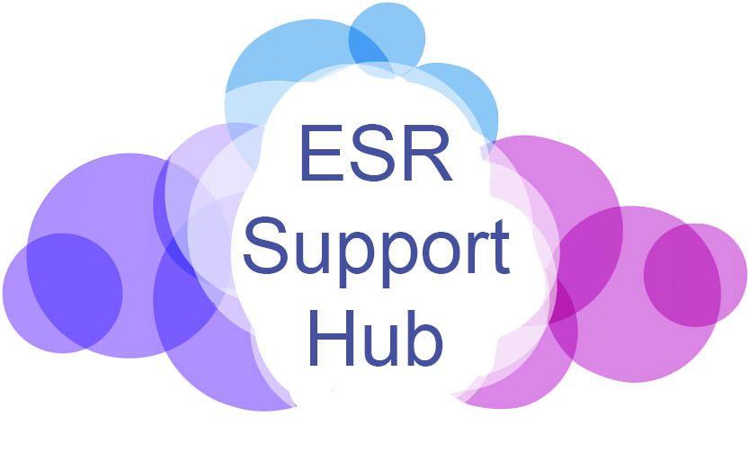 ESR Logo - NHS Wales Shared Services Partnership (NWSSP) | ESR Community Hub