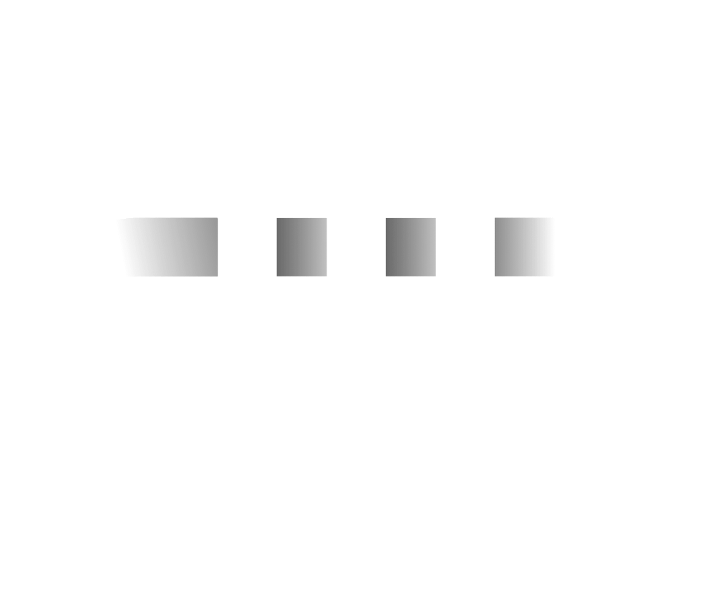 DTP Logo - dtp-logo-FA-white | Singapore Wedding Photography by DTPictures