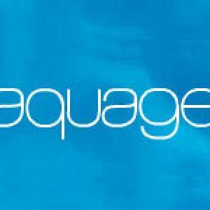 Aquage Logo - Flaunt Salon | Denver's Hair Styling, Waxing, Airbrush Tanning ...