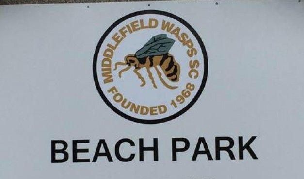 Middlefield Logo - Homepage | Middlefield Wasps