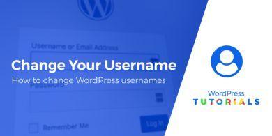 Username Logo - Simple Ways to Change WordPress Usernames