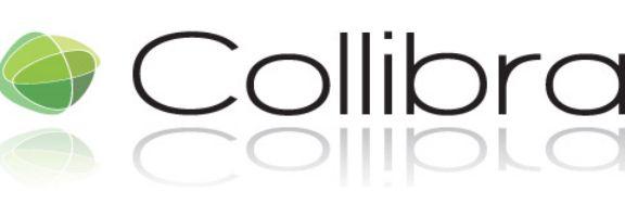 Collibra Logo - Applied Data Governance by Collibra | Hub Designs Magazine