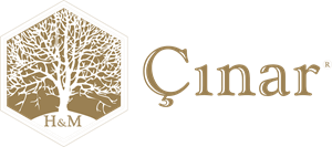 Cinar Logo - Çınar Logo Vector (.AI) Free Download
