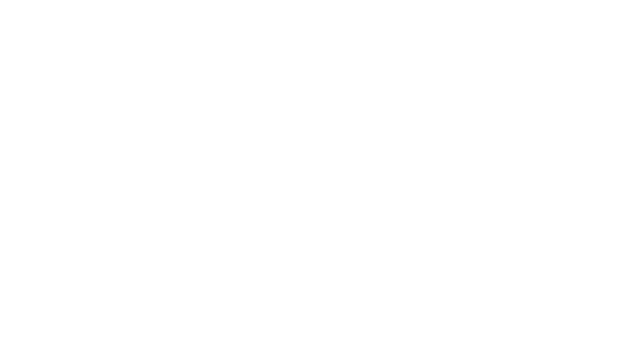 Stomper Logo - FAQ's. Stone Stomper Stone Guard