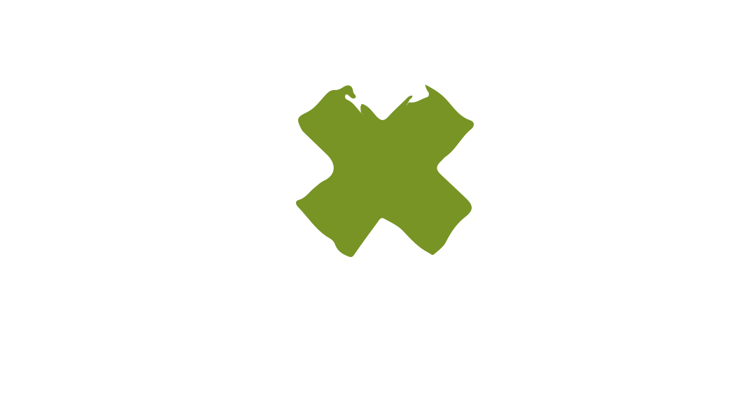 Flagstaff Logo - Flagstaff Extreme – Extreme Adventure Course