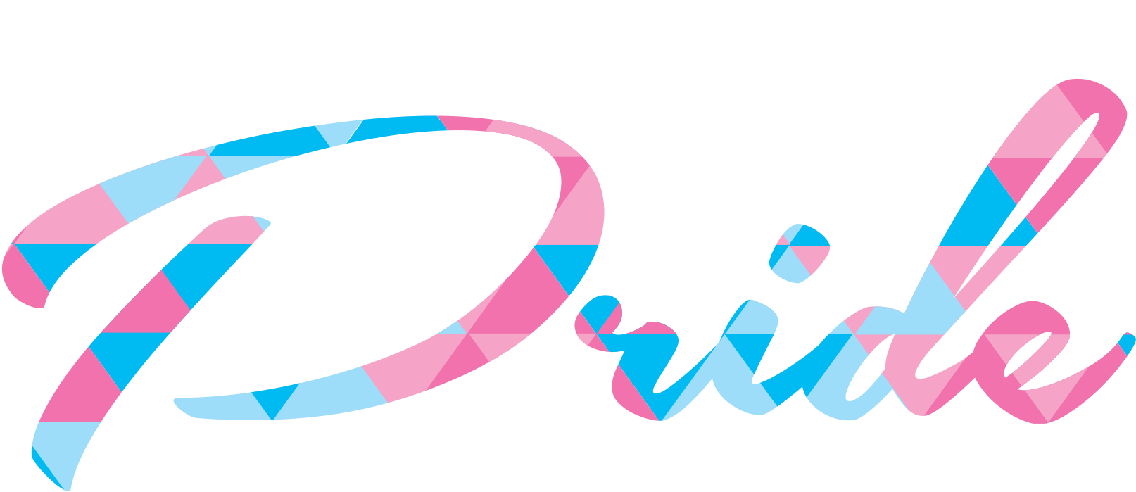 Transgender Logo - Point of Pride: Supporting Transgender People in Need