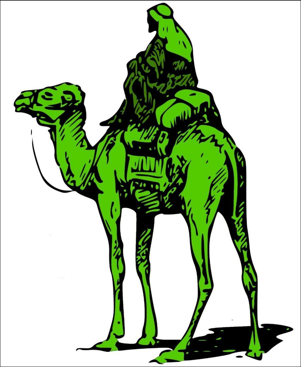 Silkroad Logo - FBI sting and faked death may have played key role in Silk Road ...