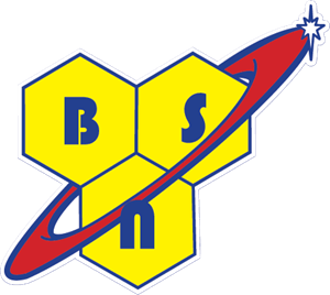 BSN Logo - BSN Logo Vector (.EPS) Free Download