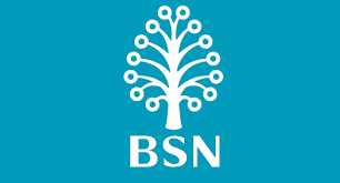 BSN Logo - Bsn logo png 5 » PNG Image