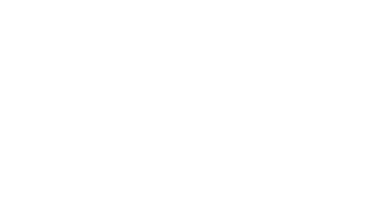 Brave Logo - Log Splitters, Pressure Washers, Power Equipment