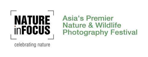 NIF Logo - Nature InFocus