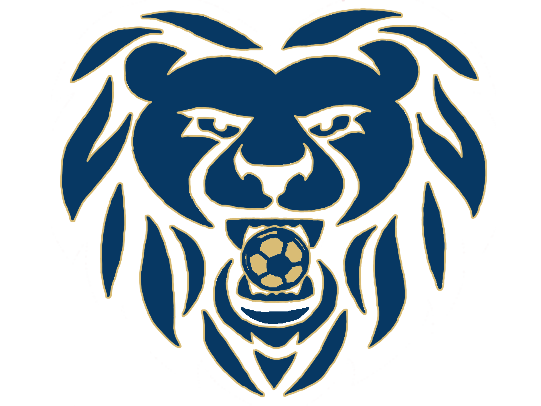 Lionheart Logo - LionHeart Logo Skills Coaching